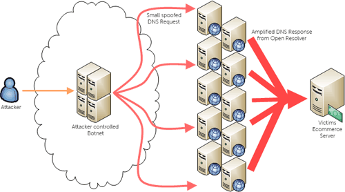 DNS amplification attack using a botnet.