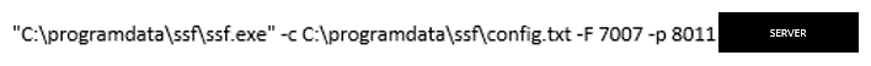 Figure 10. Command line used to run ssf.exe.