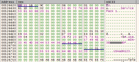 Decoded Gh0st RAT check-in packet.